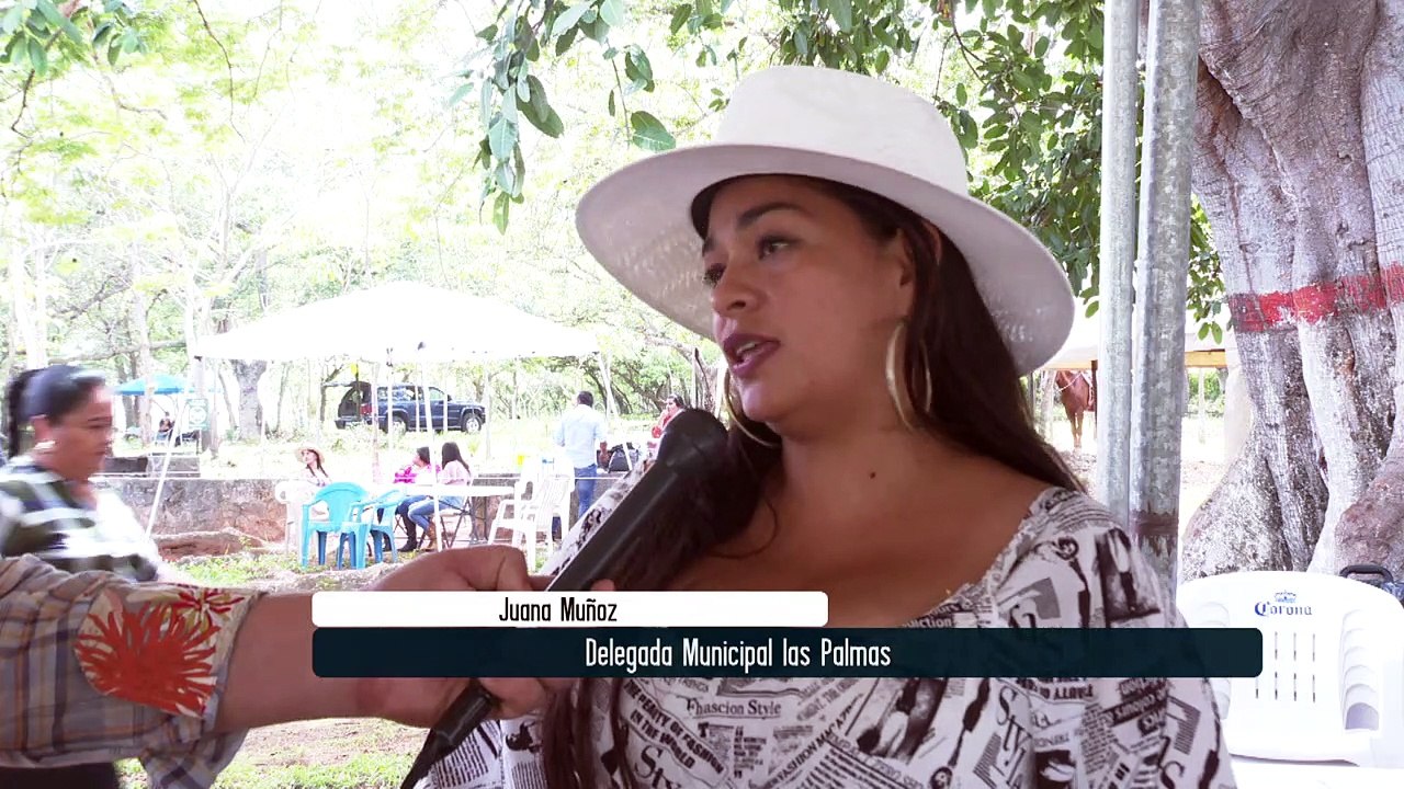 Arreglarán la principal calle de Las Palmas | CPS Noticias Puerto Vallarta