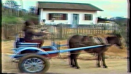 Meu Pé de Laranja Lima _ Capítulo 02