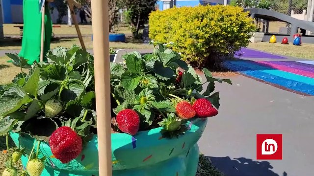 Apae de Apucarana reinaugura jardim sensorial