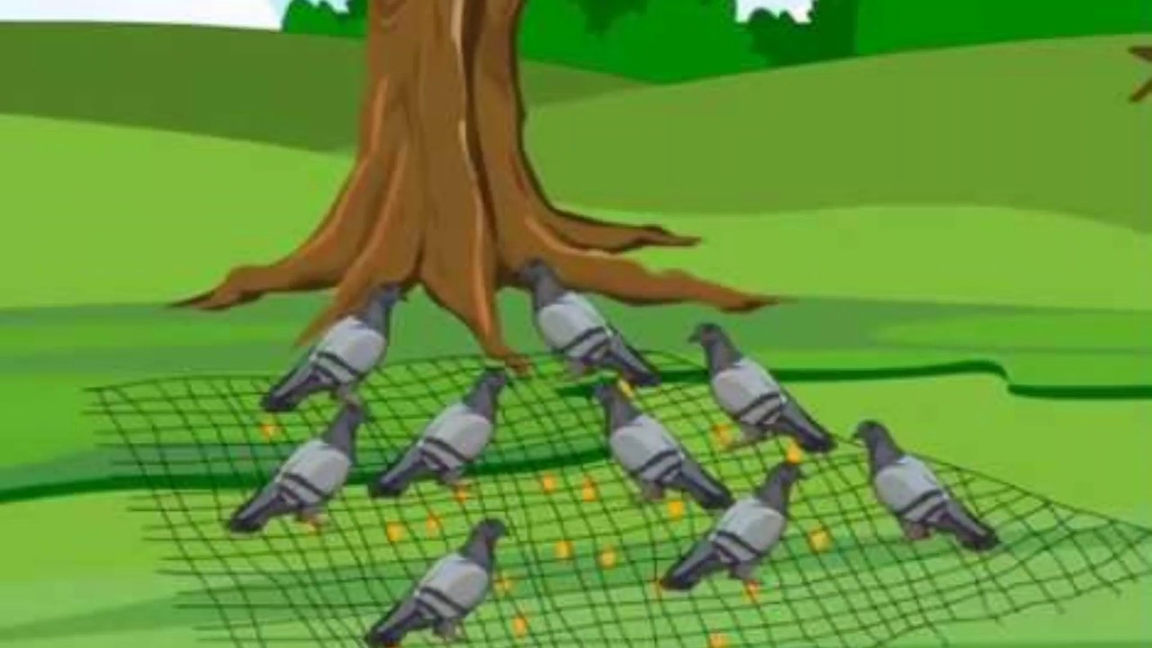 The Hunter and  the Pigeons best moral story || cartoon story || education