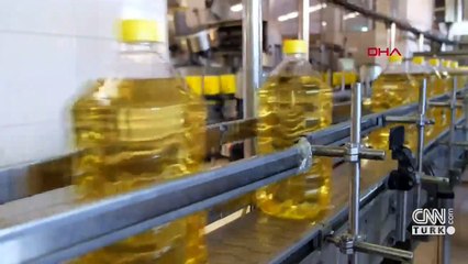 Ziraat odalarından ayçiçeği çağrısı