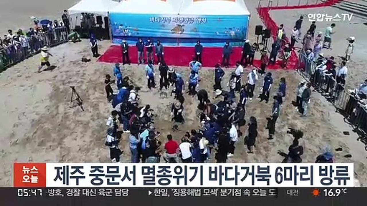 제주 중문서 멸종위기 바다거북 6마리 방류