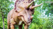 Dinossauro gigante com bico e chifres: espécie é descoberta nos EUA