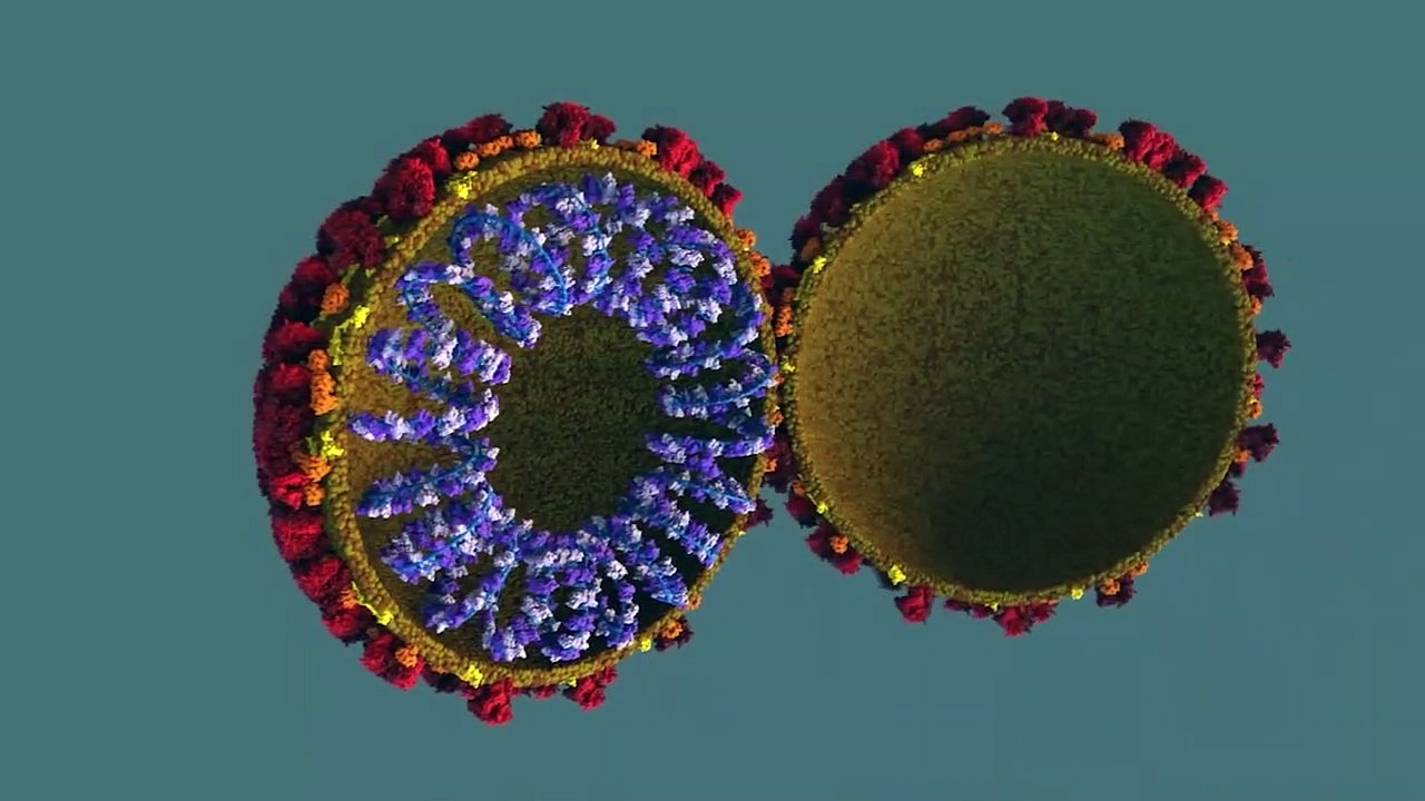Caso inédito: homem testa positivo para varíola dos macacos, Covid e HIV