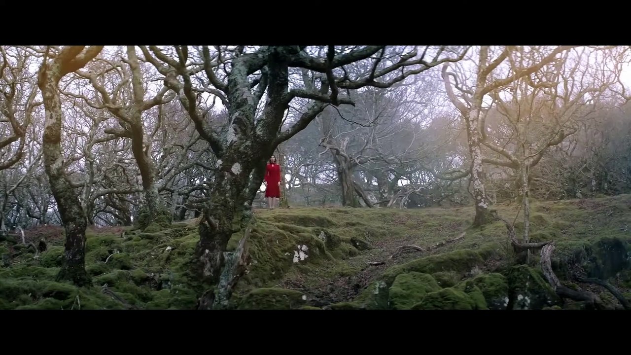 SHEPHERD Film