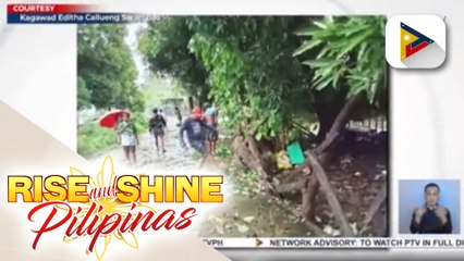 Pinsala ng bagyong Florita sa agrikultura, umabot na sa P19.10-M