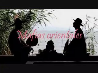 Mafias orientales: las tríadas chinas y la Yakuza japonesa.