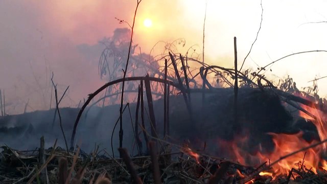 Amazônia legal registra pior dia de queimadas em 15 anos