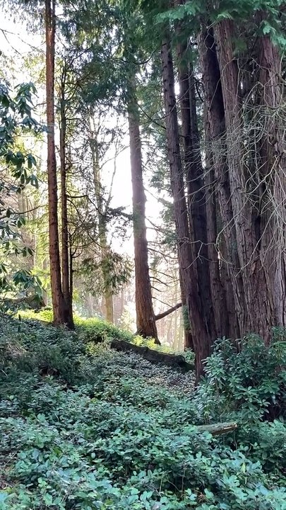 प्रकृति से बढ़कर कुछ नही #beautiful nature