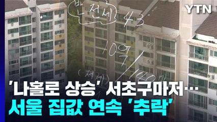 '나홀로 상승' 서초구도 못 버텨...서울 집값 연속 '추락' / YTN