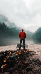 Viral video on daily motion || stats what's app status