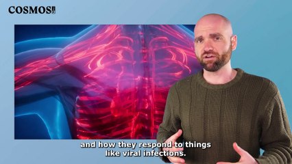 Could you be suffering from long-COVID? | August 26, 2022 | Cosmos Magazine