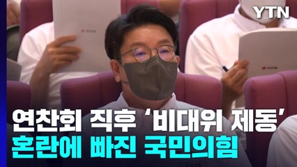 법원, 與 비대위 제동 '격랑'...지도부 책임론 제기 / YTN