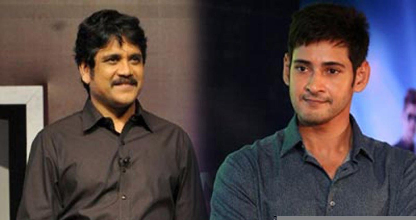 Mahesh babu with Nagarjuna : మల్టీస్టారర్ కు సిద్ధమంటున్న మహేష్- నాగర్జున | ABP Desam