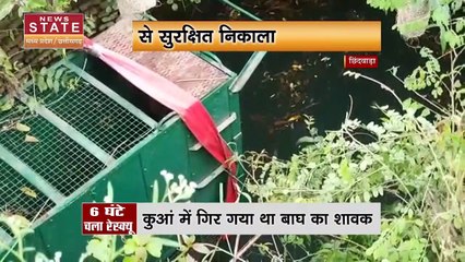 Chhindwara News: कुएं में गिरा Tiger, 8 घंटे चला Rescue Operation | Watch Video | MP News |