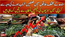 Vegetable prices soaring high in Karachi due to flood