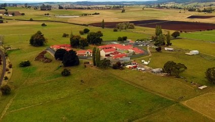 Tasmania commission hears more damaging evidence