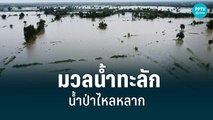น้ำป่าไหลหลาก มวลน้ำทะลักเข้ารพ.แจ้ห่ม ด้านโคราช เอ่อล้นนาข้าว|เที่ยงทันข่าว | 26  ส.ค. 65