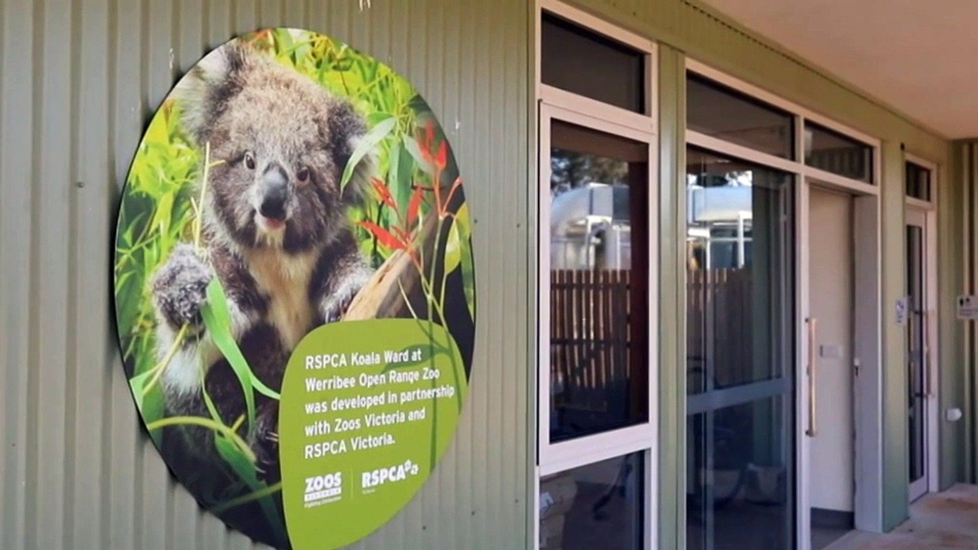 New Koala ward for Werribee’s Open Range Zoo