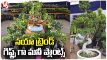 City Public Shows Interest On Terrace Gardening & Indoor Plants _ Nursery Mela In Hyderabad_ V6 News