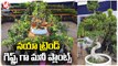 City Public Shows Interest On Terrace Gardening & Indoor Plants _ Nursery Mela In Hyderabad_ V6 News