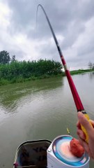 Angler sind so glücklich #shorts)