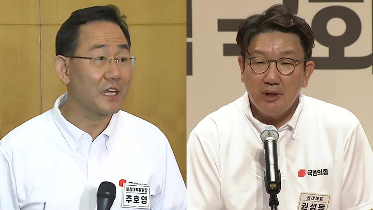 [뉴스큐] 與 비대위원장 직무 정지...지도부 공백 어디로? / YTN