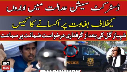 Shahbaz Gill’s bail: Court directs police to submit record by tomorrow