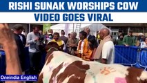 Rishi Sunak worships cow in the UK, video goes viral | Why Hindus worship cows | Oneindia News *News