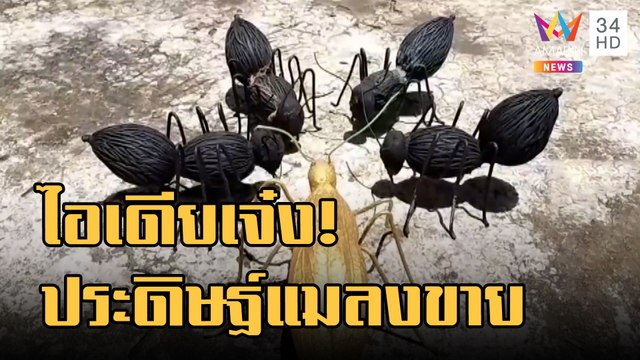 ช่างเลี่ยมกรอบพระไอเดียเจ๋ง นำวัสดุเหลือใช้ประดิษฐ์แมลงขาย | ข่าวเที่ยงอมรินทร์ | 26 ส.ค.65