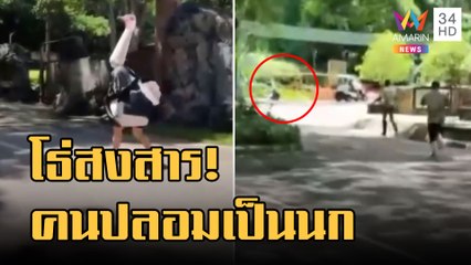 สวนสัตว์เชียงใหม่จัดเต็ม! ซ้อมแผนหากสัตว์หลุดจากกรง | ข่าวเที่ยงอมรินทร์ | 26 ส.ค.65