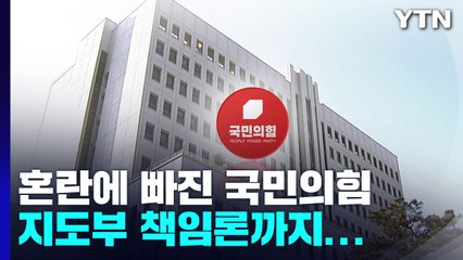 법원, 與 비대위 제동 '격랑'...지도부 책임론 제기 / YTN