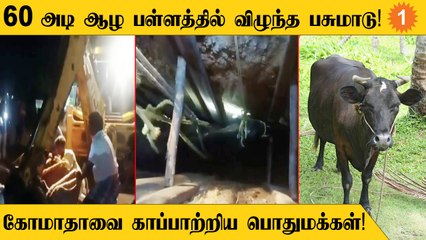 Video herunterladen: Tiruvallurல் அறுபது அடி ஆழ பள்ளத்தில் விழுந்த பசுமாடு!