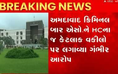 ગુજરાતી ભાષાને માન્યતા આપવાના કેસમાં ક્રિમિનલ બાર એસો.એ HCના જ વકીલો પર લગાવ્યા ગંભીર આરોપ