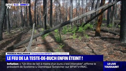 L'incendie de La Teste-de-Buch enfin totalement éteint