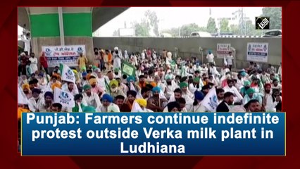 Punjab: Farmers continue indefinite protest outside Verka milk plant in Ludhiana