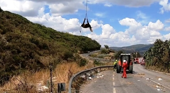 Leonforte (EN) - Mucca scivola in un burrone, recuperata con elicottero dai Vigili del Fuoco (26.08.22)