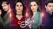 Woh Pagal Si Episode 17 _ 23rd August 2022 (Subtitles English) ARY Digital Drama