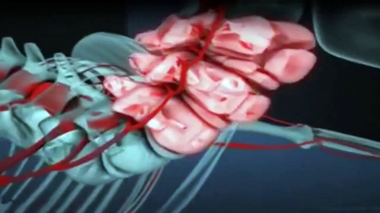 1000 Wege, ins Gras zu beißen Staffel 3 Folge 19 HD Deutsch