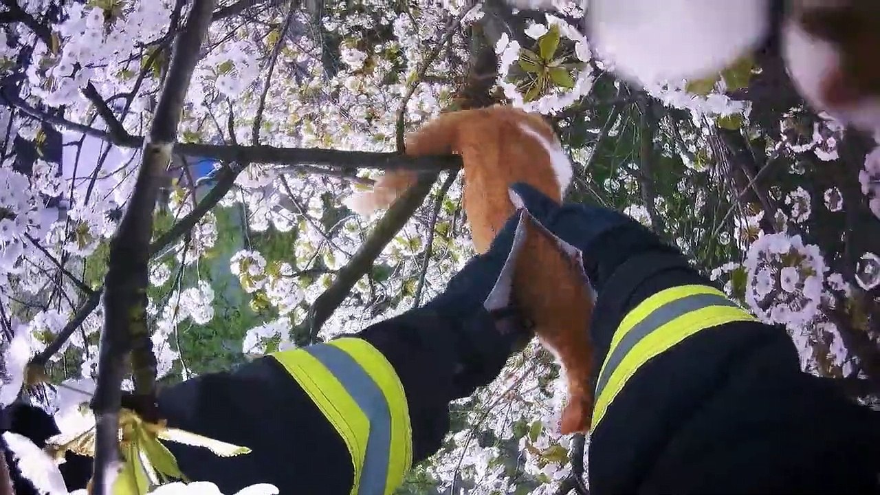 Feuer & Flamme Mit Feuerwehrmännern im Einsatz Staffel 2 Folge 9 HD Deutsch