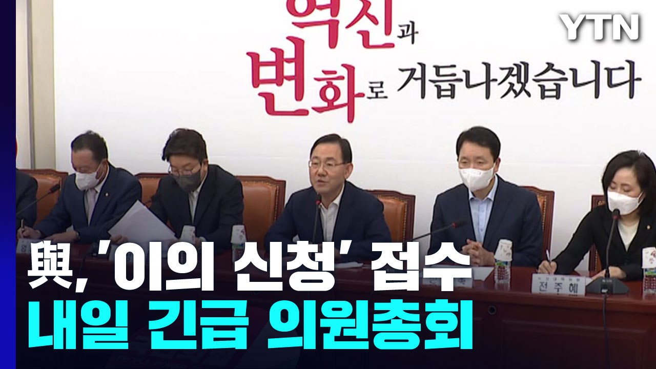 법원, 與 비대위 제동에 '격랑'...지도부 책임론 제기 / YTN