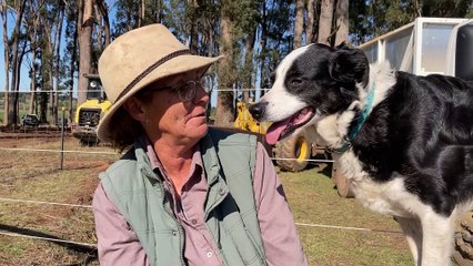 'Best friends' complete Agfest swansong | August 2022 | The Examiner