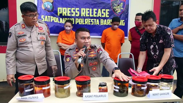 Kasat Polairud Polresta Barelang Gelar Konferensi Pers Ungkap Kasus Penyeludupan Biota Laut yang Dilindungi Dengan Tujuan Singapura