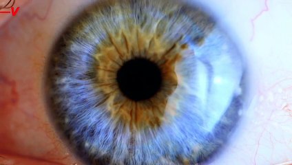 Scientists Finally Have the Answer to Why Our eyes Move While We Sleep