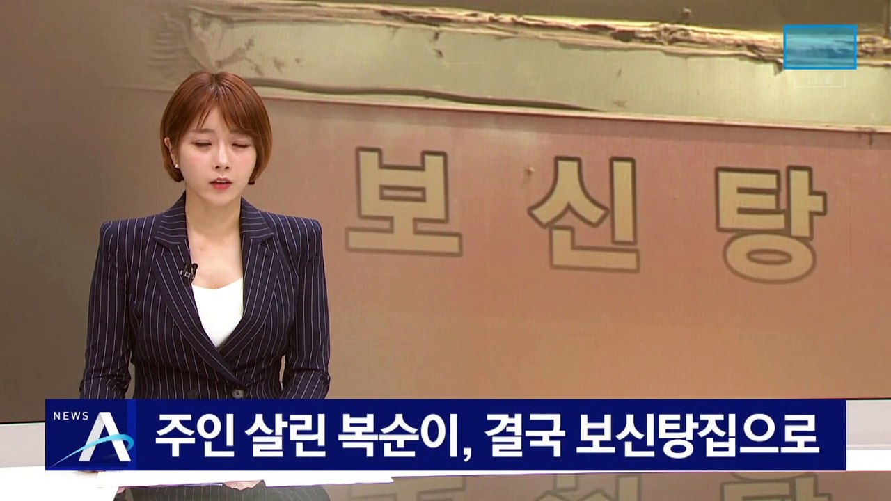 주인 살린 복순이, 결국 보신탕집으로…용의자 쫓는다