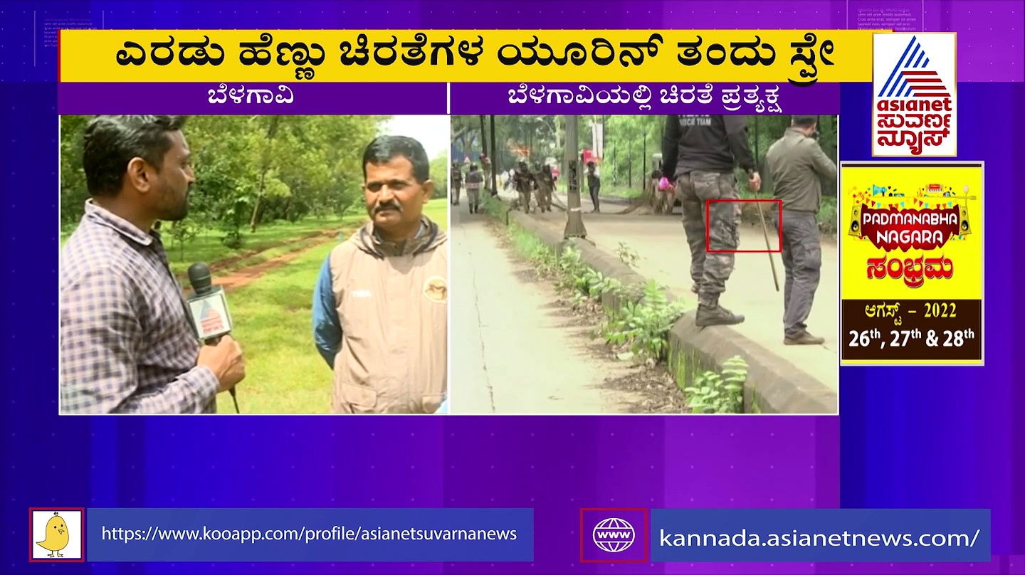 ಬೆಳಗಾವಿ: ಗಂಡು ಚಿರತೆ ಸರೆಗೆ ಬೋನುಗಳಿಗೆ ಹೆಣ್ಣು ಚಿರತೆ ಯೂರಿನ್‌ ಸ್ಪ್ರೇ