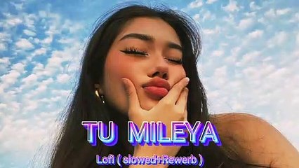 Tu Mileya ( Slowed & Reverb ) | Lofi Music | Darshan Raval, Lijo George