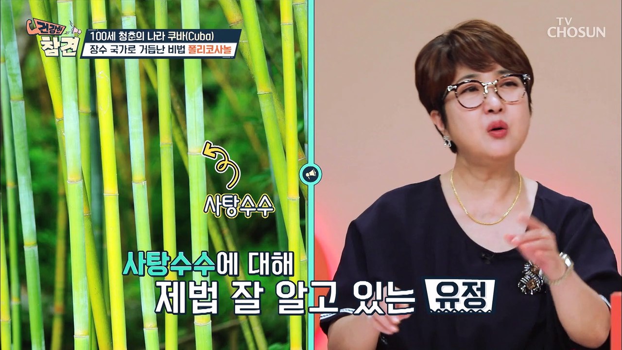 쿠바인들의 혈관이 건강한 비결 사탕수수 속 ✦폴리코사놀✦ TV CHOSUN 20220...