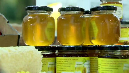 Arıcılık ekipmanları ve bal çeşitleri tanıtıldı