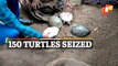 Live Turtles Seized From Abandoned Vehicle In MV 114 Village In Malkangiri, Odisha